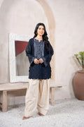 Navy Blue Embroidered Suit