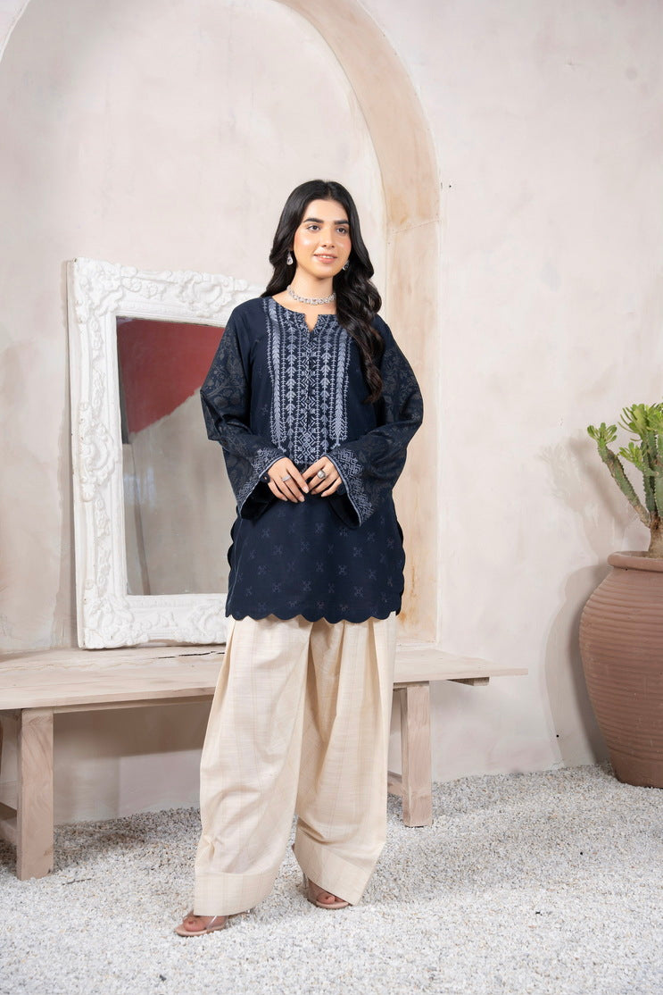 Navy Blue Embroidered Suit